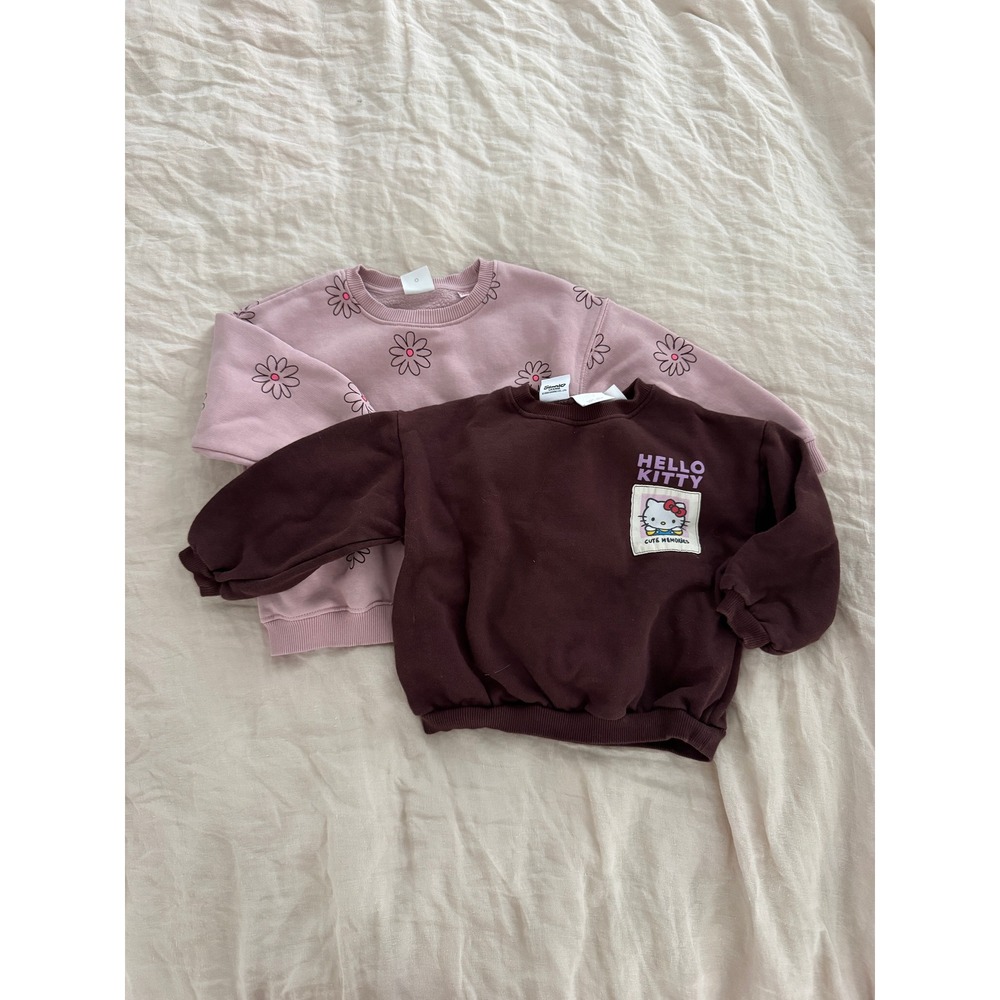 Zara Kids Hello Kitty Sanrio & Floral Sweatshirt Bundle (Lot of 2) Size 4